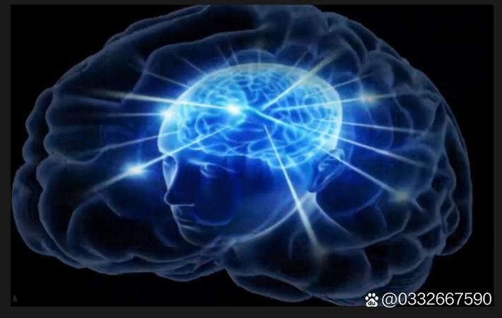 911吃瓜 - 网信办约谈多家自媒体平台,要求整治娱乐八卦乱象 911吃瓜 - 网信办约谈多家自媒体平台,要求整治娱乐八卦乱象